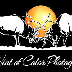 A Hint of Color Photography - Artist