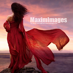 Maxim Images Exquisite Prints