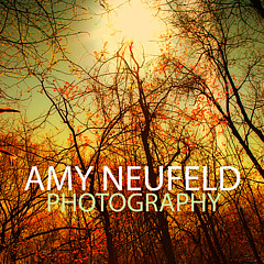 Amy Neufeld - Artist