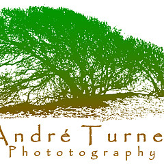 Andre Turner - Artist