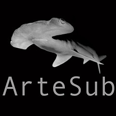 Artesub  - Artist