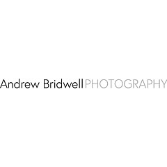 Andrew Bridwell - Artist