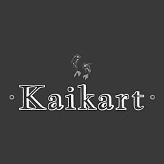 Acid Kaikart - Artist
