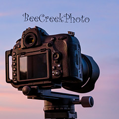 Bee Creek Photography - Tod and Cynthia - Artist