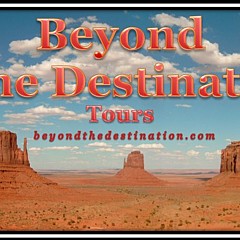 Beyond The Destination - Artist