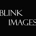 Blink Images - Artist