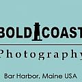 Bold Coast Photography