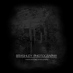 Brashley Photography - Artist