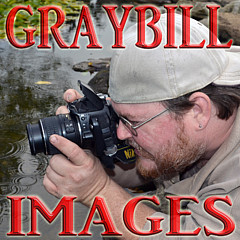 Brian Graybill - Artist