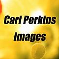 Carl Perkins - Artist