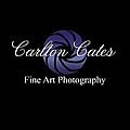 Carlton Cates - Artist