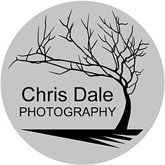 Chris Dale - Artist
