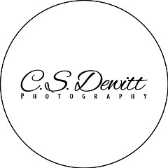 C S Dewitt - Artist