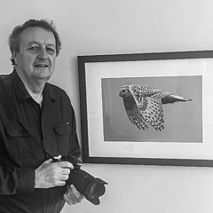 Colin McCready - Artist