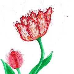 Danesse Jessop - Artist