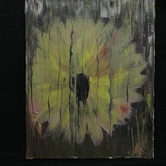 Daniel Arcoleo - Artist