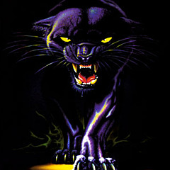 Daniel Black-Panther - Artist