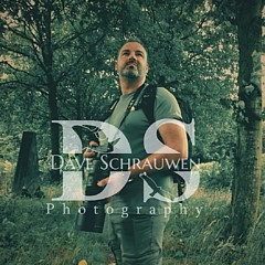 Dave Schrauwen - Artist