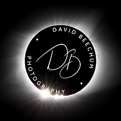 David Beechum - Artist