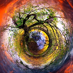 Fine Photo Works - Artist
