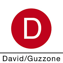 David Guzzone - Artist