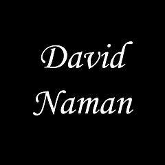 David Naman - Artist