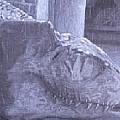 David Pry - Artist