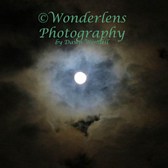 Dawn Wendell - Artist