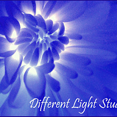 Different Light Studio - Artist