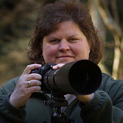 Deb Campbell - Artist