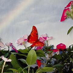 Deborah Reed - Artist
