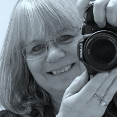 Debra Parry Trichilo - Artist