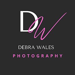 Debra Wales - Artist