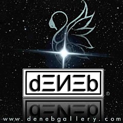 Deneb Arici - Artist