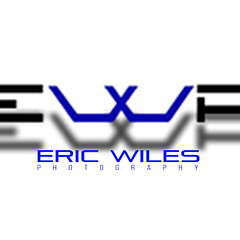 Eric Wiles - Artist