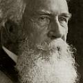 Ernst Haeckel - Artist