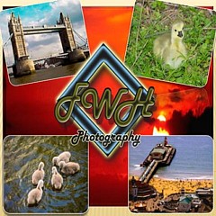 FWH Photography - Artist