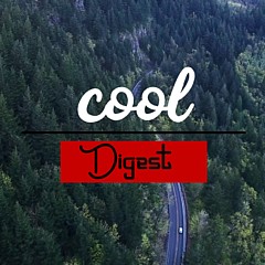 Digest Cool - Artist