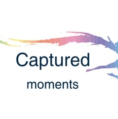 Captured Moments - Artist