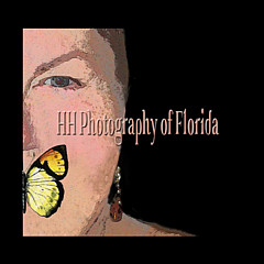 Hh Photography Of Florida