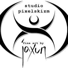 Studio Pixelskizm - Artist