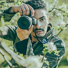 Jeferson Castellari - Artist Jeferson Castellari - Artist