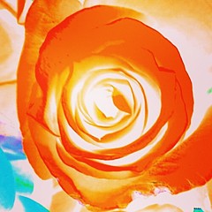 Jeff Sarratt - Artist
