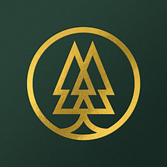 Ambience Art - Artist