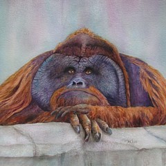 Jennifer Priem - Artist