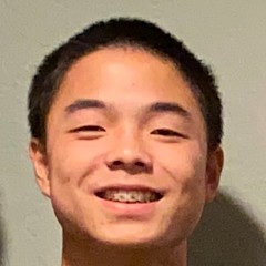 Tobias Ang - Artist