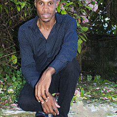 Jerome Perrin - Artist