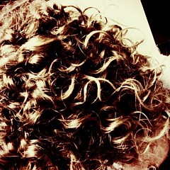 Jess Kippes - Artist