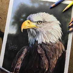 Jessica Matheney Fine Art - Artist