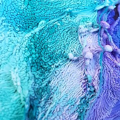 Jeze Harvey - Artist